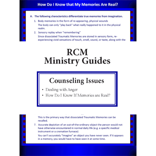 Counseling Issues Ministry Guide Set Image Restoration in Christ Ministries RCM