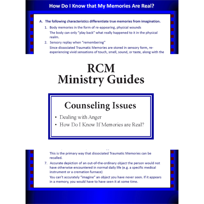 Counseling Issues Ministry Guide Set Image Restoration in Christ Ministries RCM