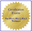 Certification Exam for Online Primary Identity Approach Training PIA 1, 2, 3 Webinars Understanding Primary Identities Restoration in Christ Ministries RCM